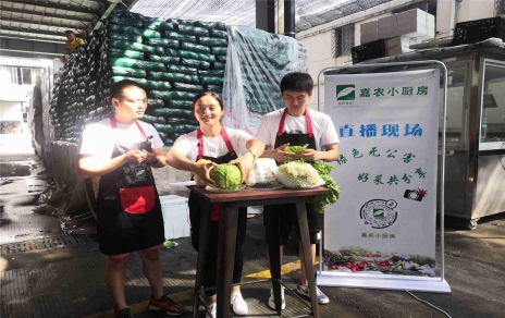 創(chuàng)意直播帶貨,本期專(zhuān)欄：蘭州高原夏菜！